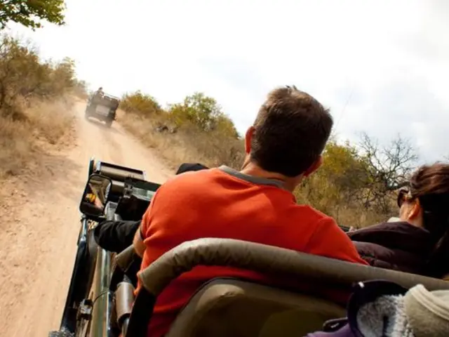 Ultimate African Safari: Kruger, Hwange, Chobe, & the Okavango Delta