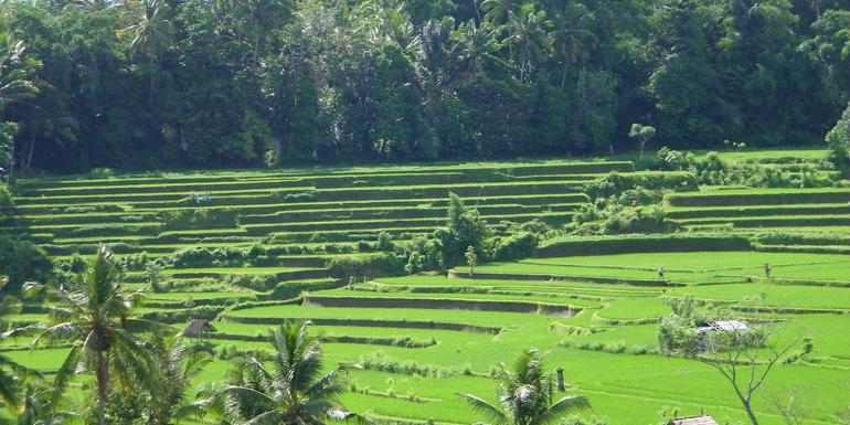 Indonesia: Jakarta, Bali & Lombok