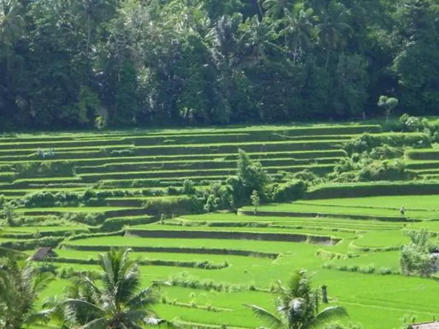 Indonesia: Jakarta, Bali & Lombok