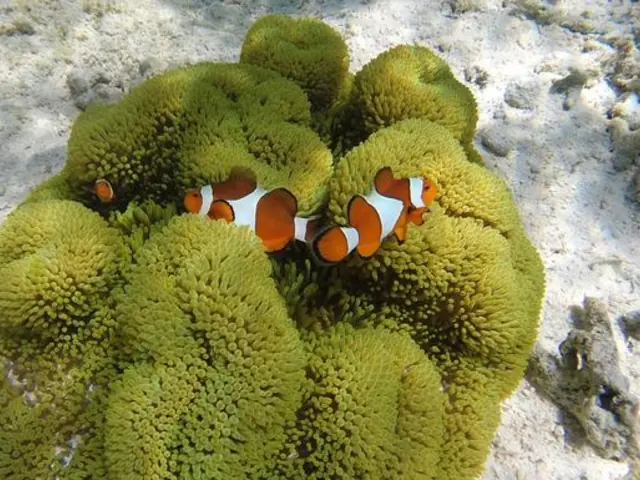 Classic Bali & Komodo Island