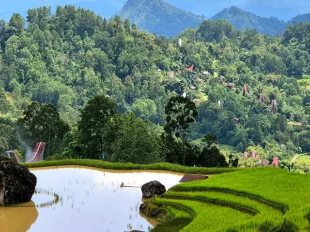 Sulawesi Adventure: The Culture of Tana Toraja