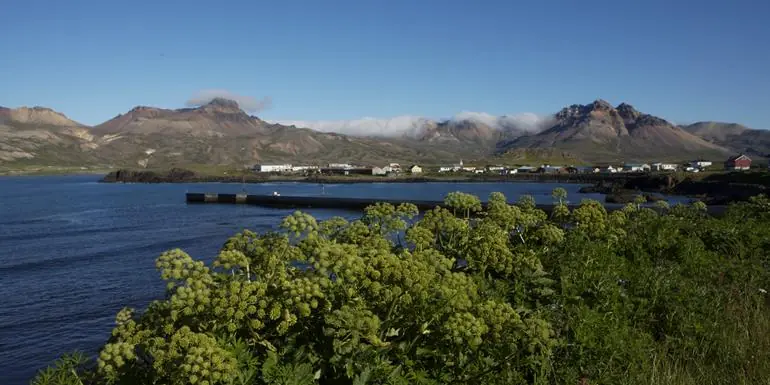 Local Living Iceland— Bakkagerði