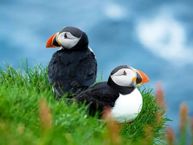 The Scottish Isles: An Expedition Through History & Highlands