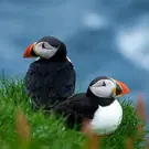 9891b2daedb56b55e085824a0d601c42.jpg