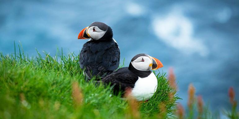 The Scottish Isles: An Expedition Through History & Highlands