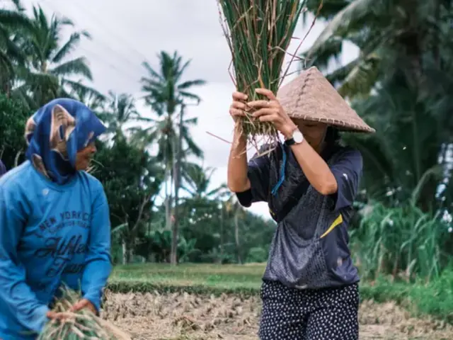 Lombok & Gili Adventure: Culture, Peaks & Paradise