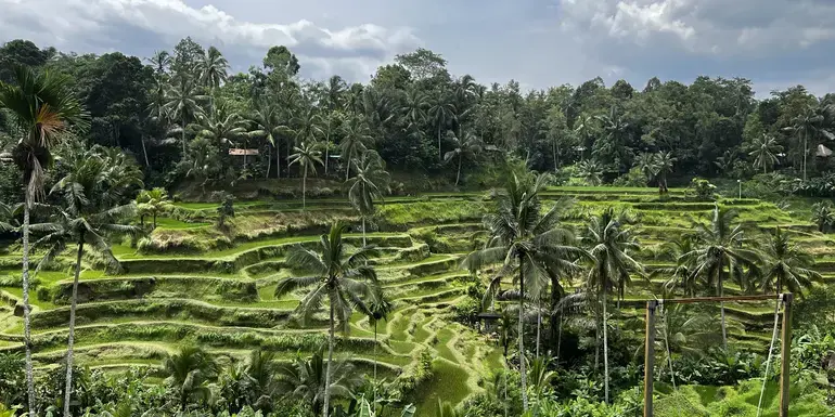 Bali's Wild Heart: Soul, Surf & Spirit