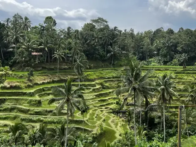 Bali's Wild Heart: Soul, Surf & Spirit