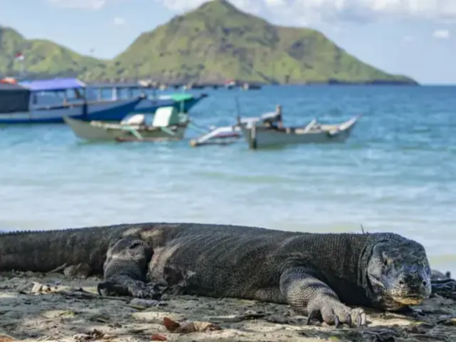 Bali to Flores: Trails, Tribal Villages & Dragon Lagoons