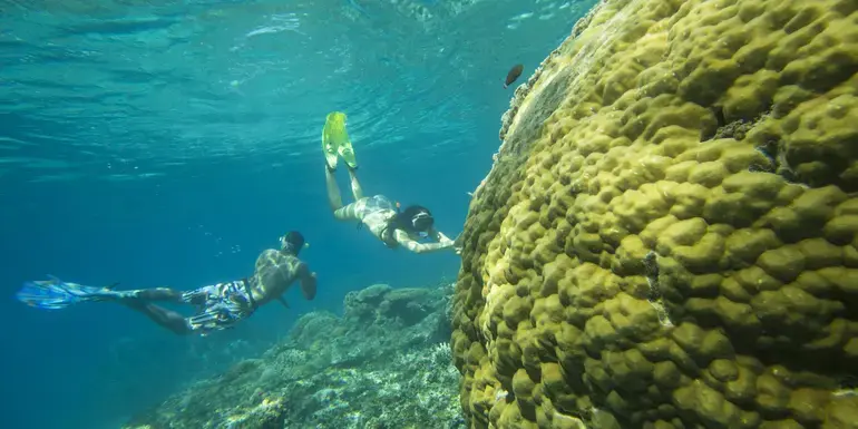 Lombok to Flores: The Hidden Path
