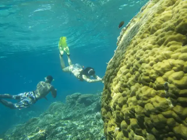 Lombok to Flores: The Hidden Path