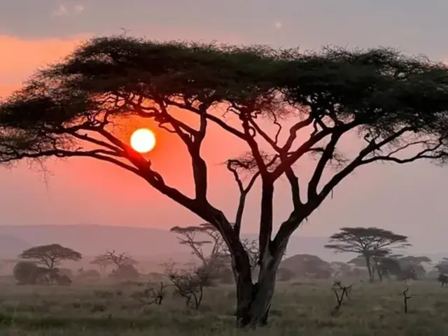 Maasai Mara Safari: Legendary Wildlife & Cultural Safari