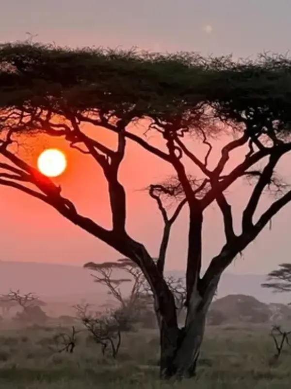 Maasai Mara Safari: Legendary Wildlife & Cultural Safari