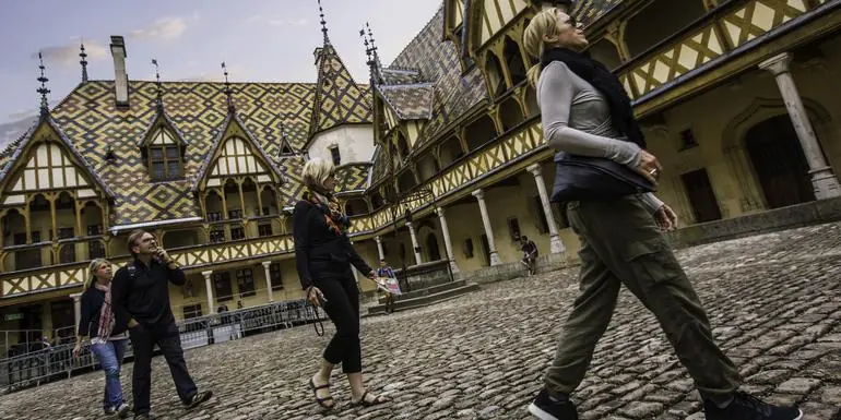 Walking the Vineyards of Burgundy
