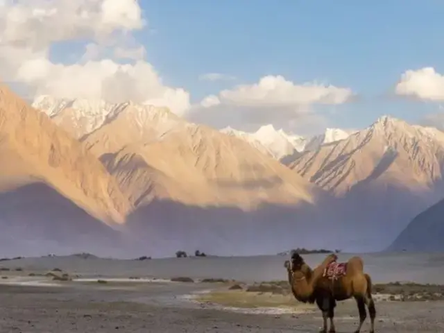 Northern India & Himalayan Trails