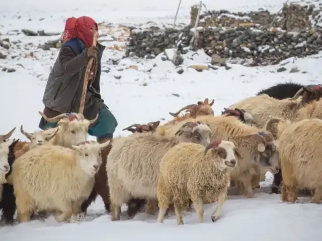 Kashmir to Ladakh: Where Valleys Meet the Sky