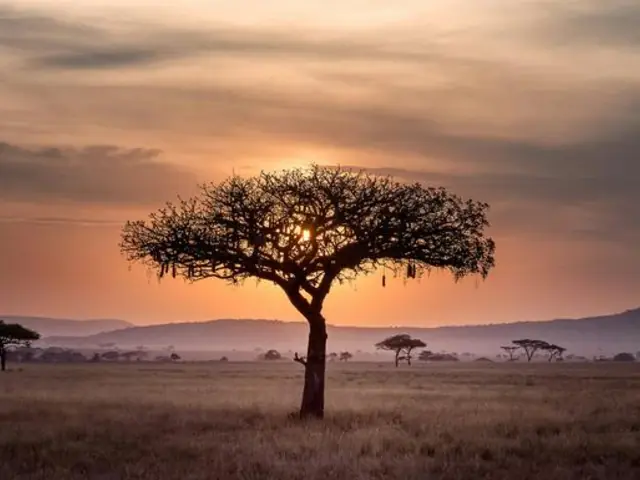 Signature: Tanzania’s Serengeti, Tarangire & Ngorongoro Crater