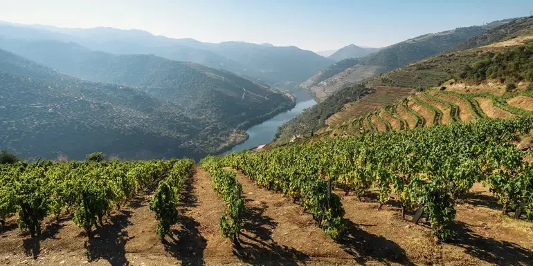 Signature: Portugal's Porto, Douro Valley, & Lisbon