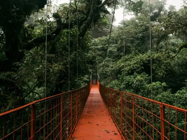 Signature: Costa Rica's Tortuguero, Arenal & Cloud Forests