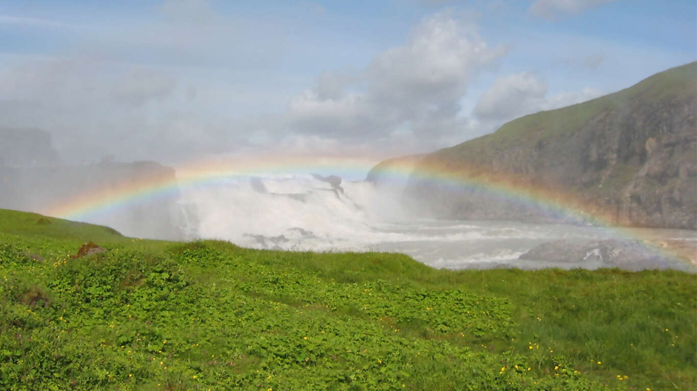 Discover Iceland's Magical Northern Lights