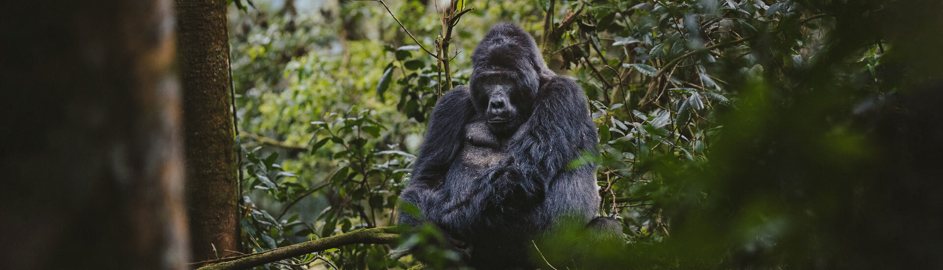 Embark on Life’s Most Epic Adventures