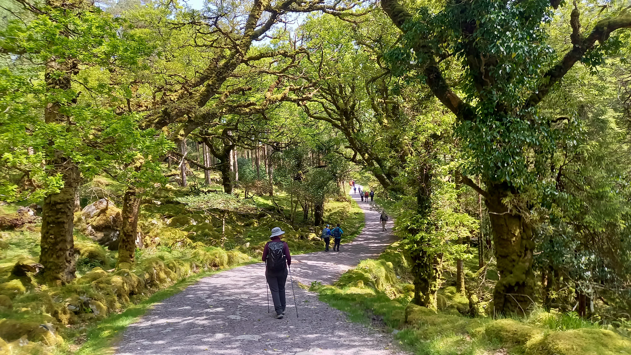 2027 Ireland Walking & Hiking: Cork to Kerry - 9 Days/8 Nights