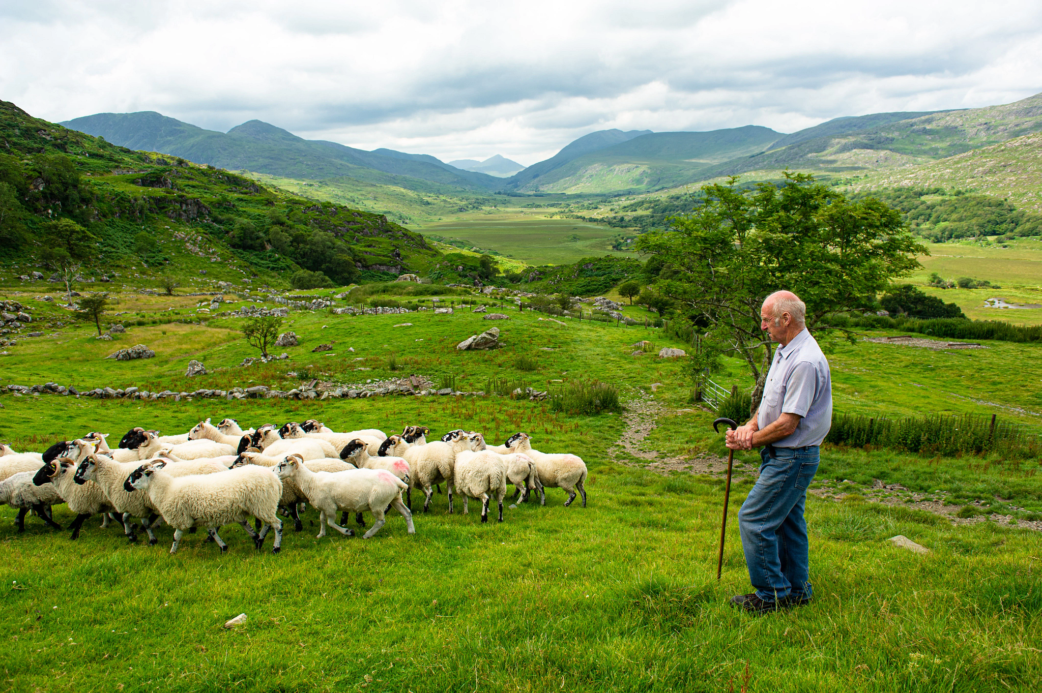 2027 Best of Ireland South (Tour B) - 7 Days/6 Nights