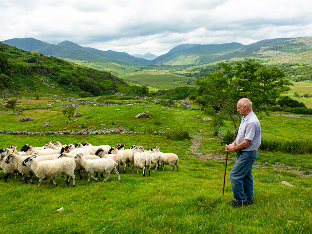 2027 Best of Ireland South (Tour A) - 8 Days/7 Nights