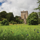 BlarneyCastle_Featured.png