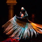 Flamenco%20Museum-Espect%C3%A1culo%20patio%20flamenco%202.jpeg