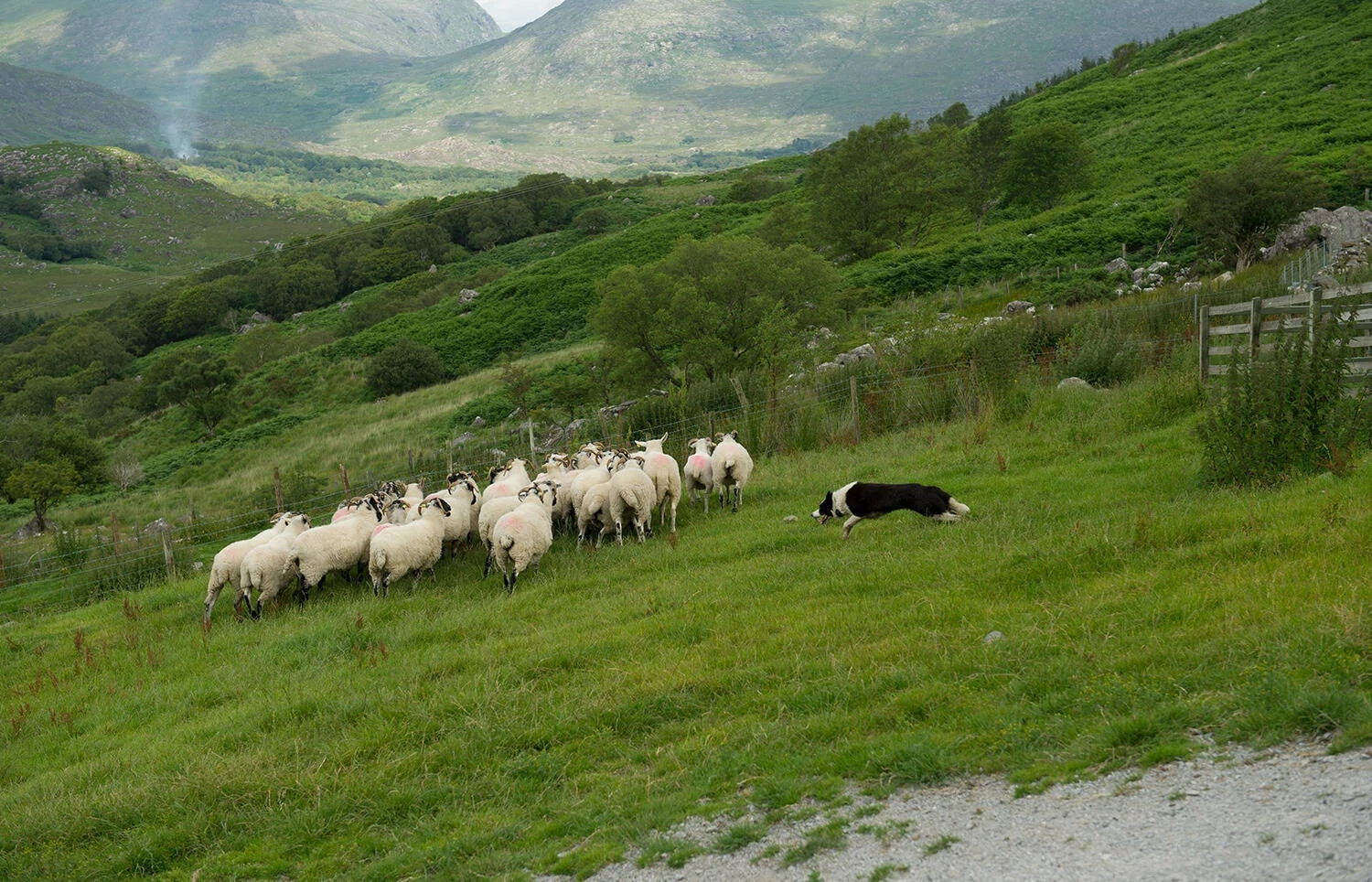 2027 Mystical Ireland - 8 Days/7 Nights