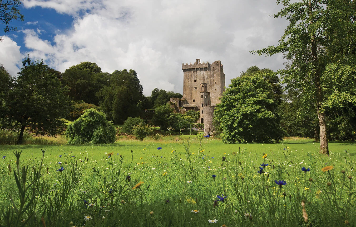 BlarneyCastle_Featured.png