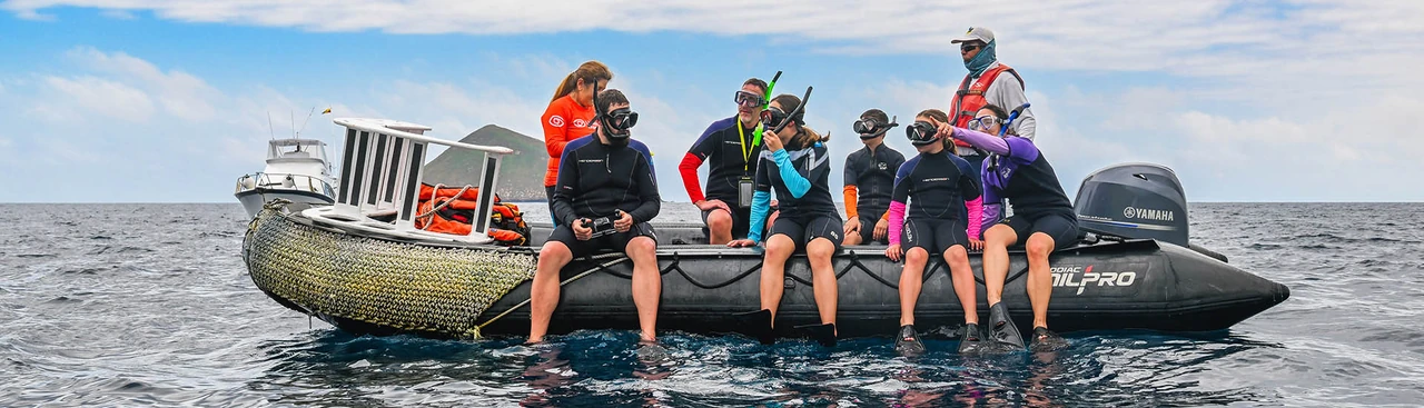 Top-Rated Expedition Cruises to the Galápagos