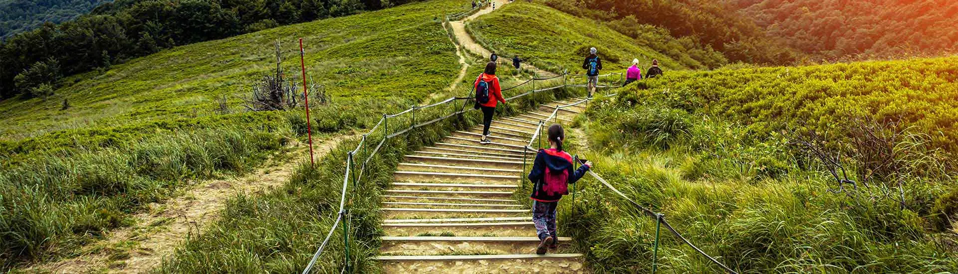 Tours That Reveal the World