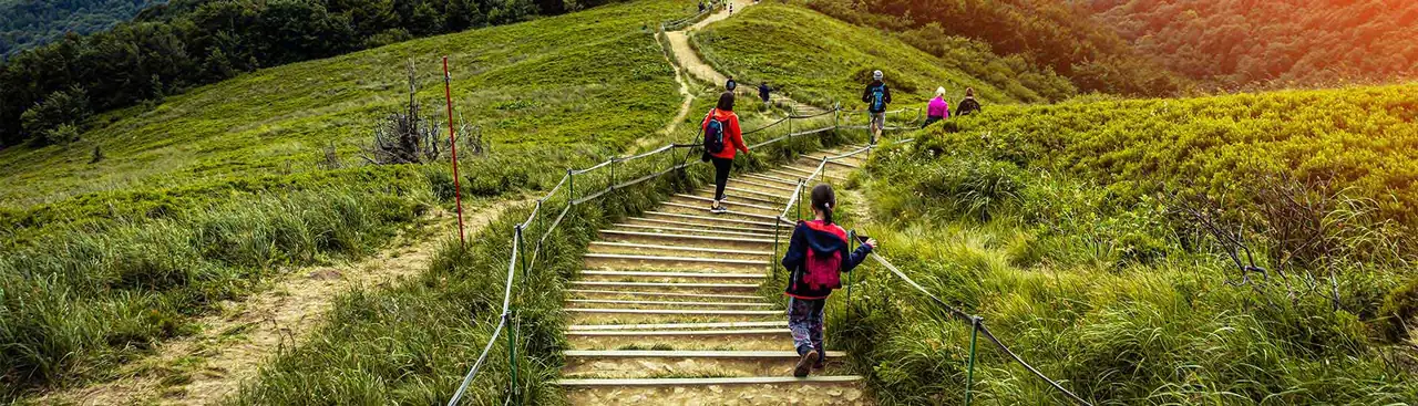 Tours That Reveal the World