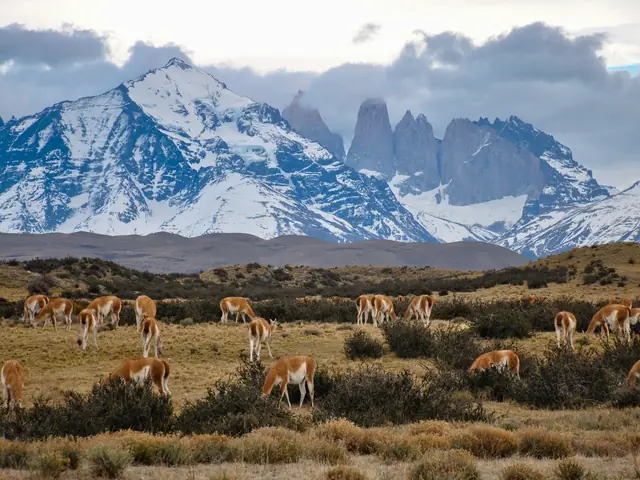 Patagonia: Edge of the World featuring Argentina, Chile, and a 4-Night Patagonia Cruise