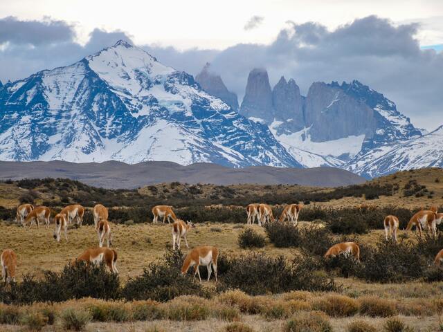 Patagonia: Edge of the World featuring Argentina, Chile, and a 4-Night Patagonia Cruise