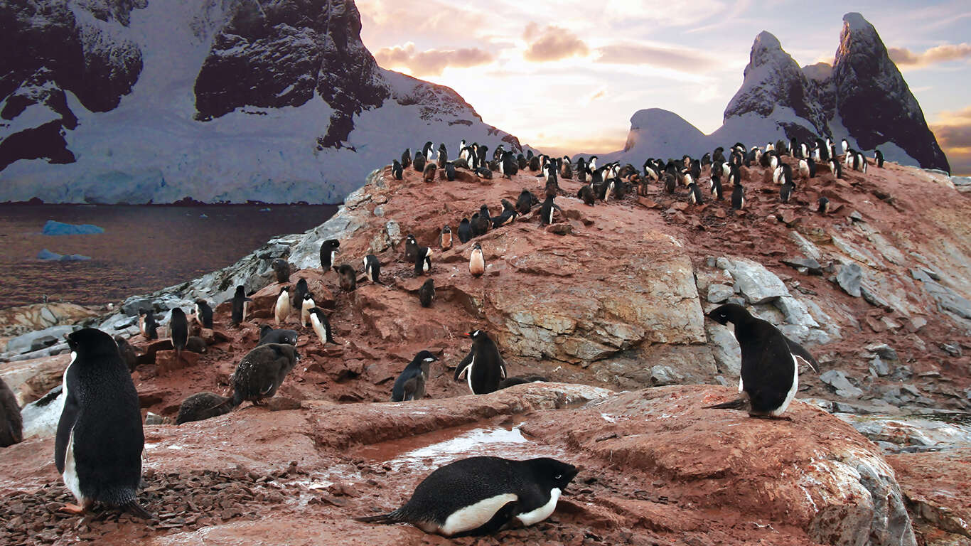 Antarctica: The White Continent