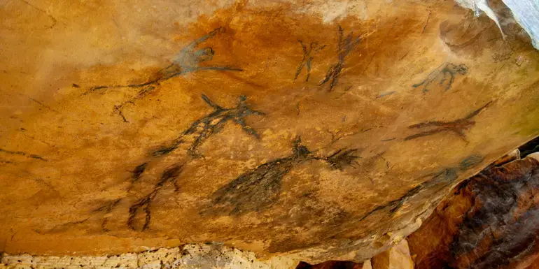 Signature: Northern Spain & the Vineyards of Southwest France