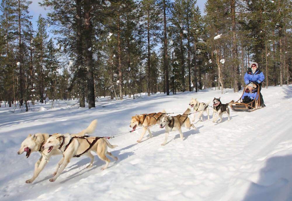 The Northern Lights of Finland