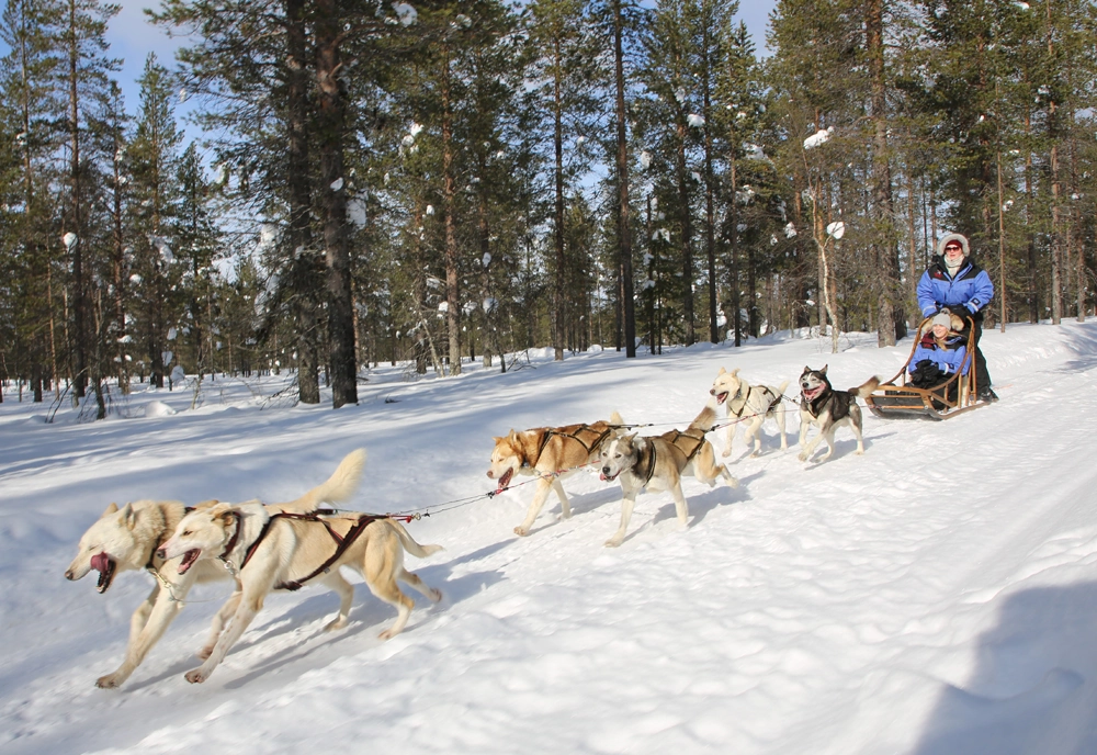The Northern Lights of Finland