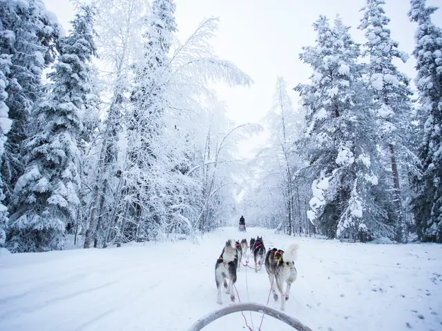 The Northern Lights of Finland