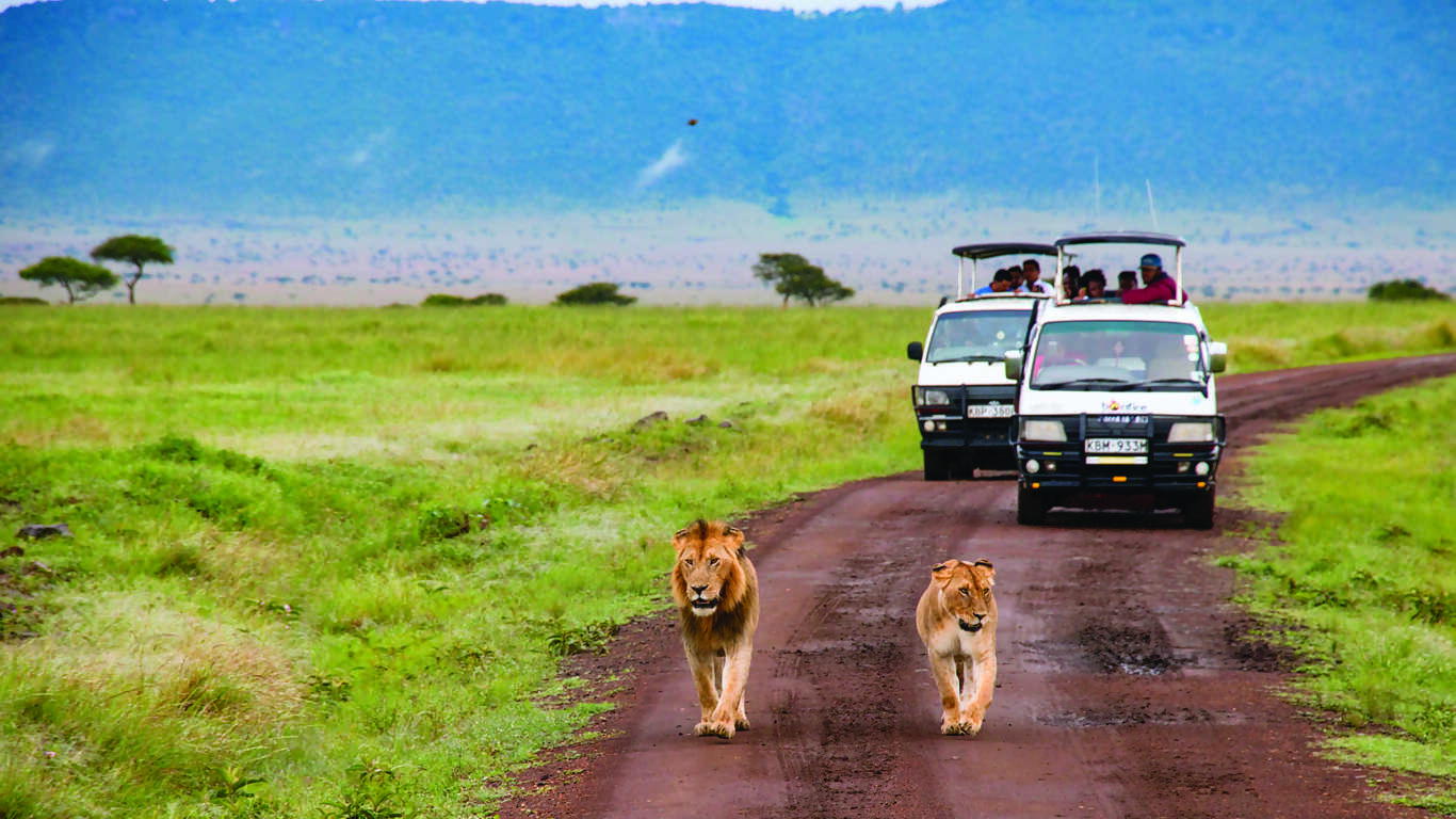 African Safari: Kenya and Tanzania