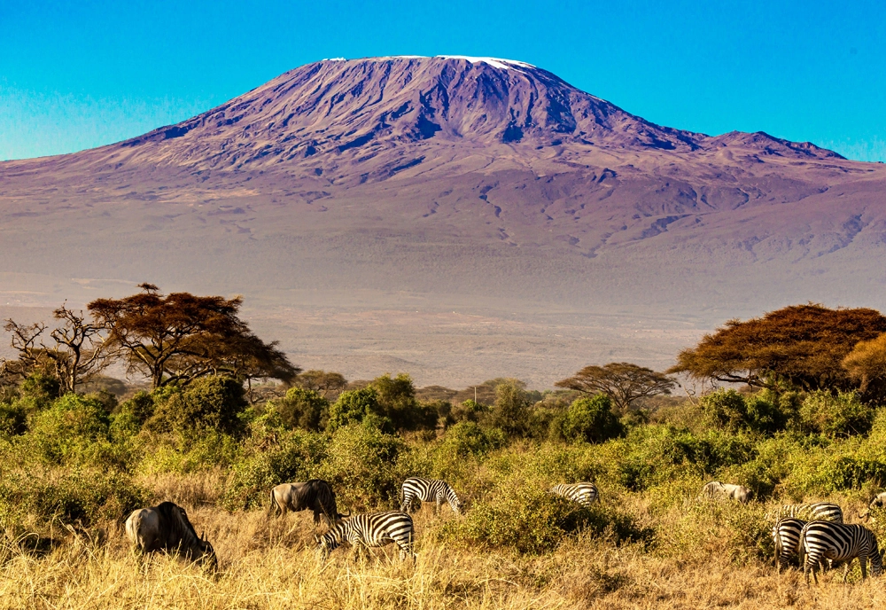 African Safari: Kenya and Tanzania