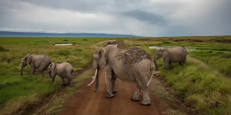 Kenya: Cultural Connections, Maasai Mara & East Africa Safari