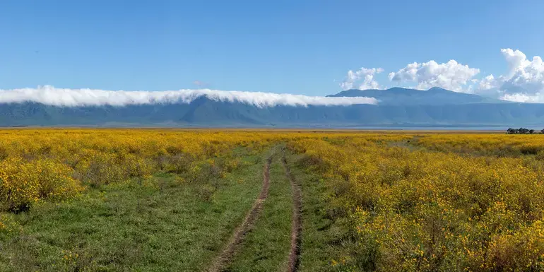 East Africa: Safari Drives, Maasai Culture & the Great Migration