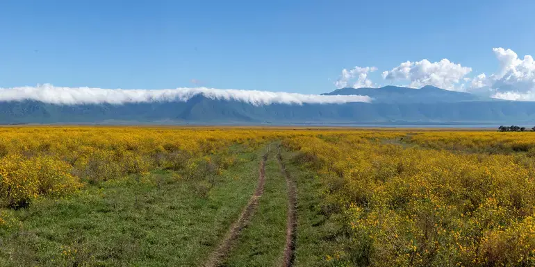 East Africa: Safari Drives, Maasai Culture & the Great Migration