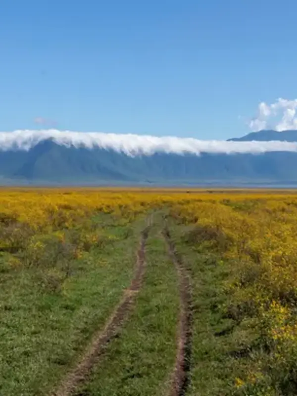 East Africa: Safari Drives, Maasai Culture & the Great Migration