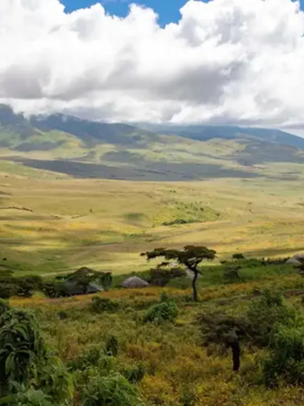 Kenya & Tanzania: Maasai Mara, The Serengeti & Zanzibar
