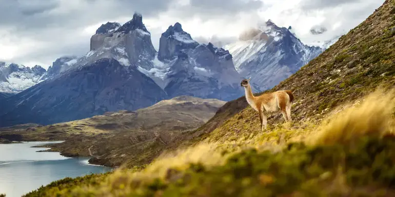 Signature: Argentina, Chile & the Heart of Patagonia